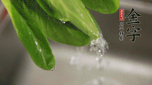 燒一鍋開水，滴一點油，水開后汆燙青菜至斷生即可。