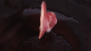 鍋中倒入橄欖油燒熱，放入淡火腿小火煸炒至打卷狀態(tài)。