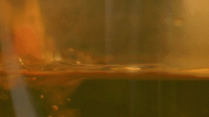 雞肉、鹽、料酒入冷水鍋水開(kāi)后撇去浮沫，溫水洗凈。