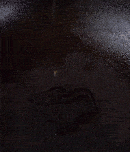 冷鍋熱油，下蒜片爆香，下香腸、玉米筍、蓮藕、西芹爆炒，期間加點(diǎn)水，翻炒1分鐘后加新鮮百合片，翻炒30秒。